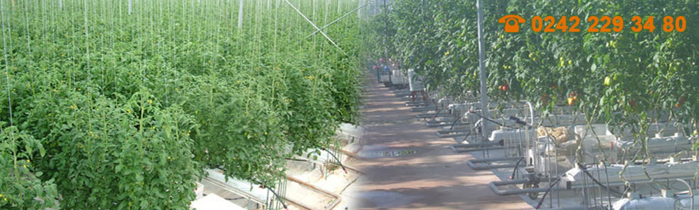 Vinaora Nivo Slider 3.x