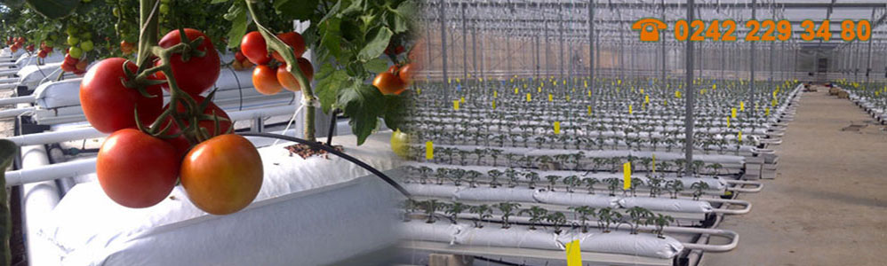 Vinaora Nivo Slider 3.x